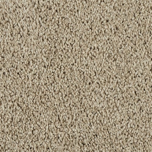 SFI Clever - 4653 Savvy